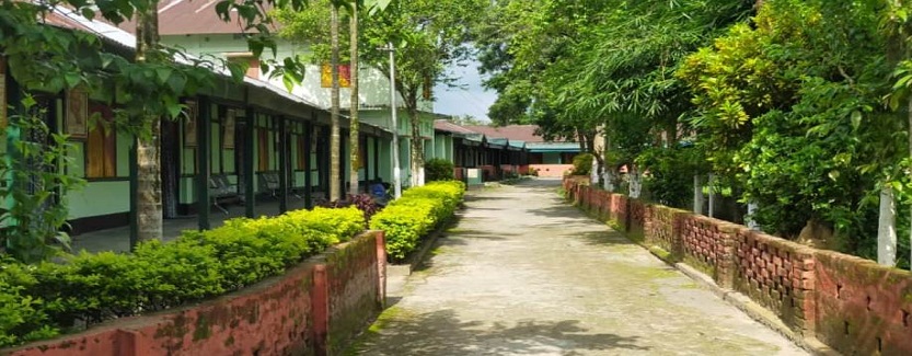 Green View School - Namsai